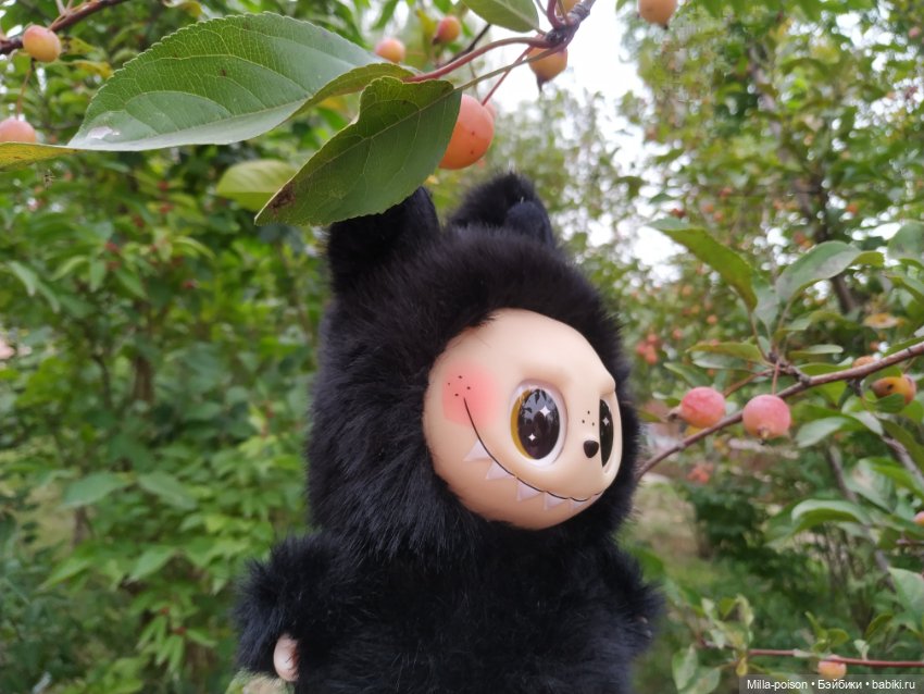 Ëнбок — Игрушки Labubu (Лабубу) и The Monsters: Pop Mart (фото 9)