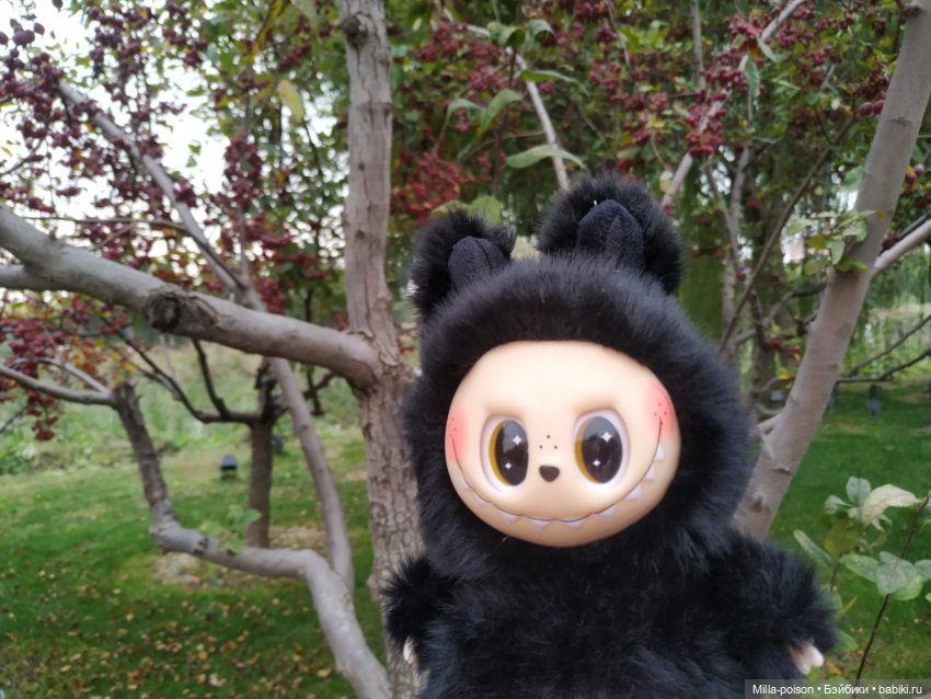 Ëнбок — Игрушки Labubu (Лабубу) и The Monsters: Pop Mart (фото 7)