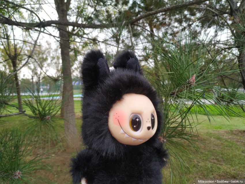 Ëнбок — Игрушки Labubu (Лабубу) и The Monsters: Pop Mart (фото 3)