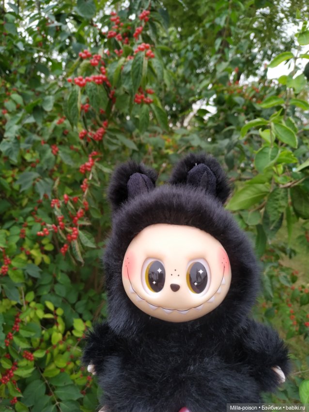 Ëнбок — Игрушки Labubu (Лабубу) и The Monsters: Pop Mart (фото 4)