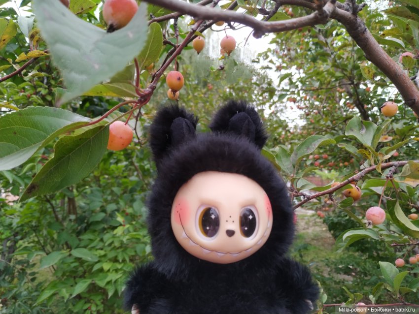 Ëнбок — Игрушки Labubu (Лабубу) и The Monsters: Pop Mart (фото 10)