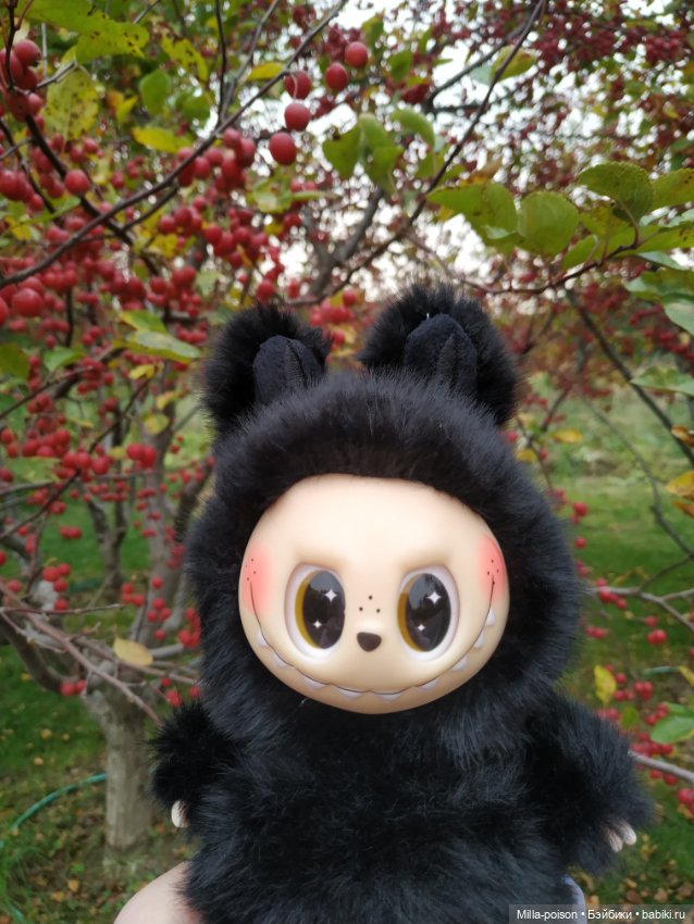 Ëнбок — Игрушки Labubu (Лабубу) и The Monsters: Pop Mart (фото 8)