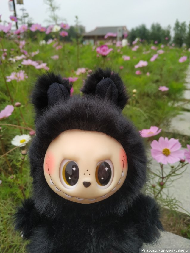 Ëнбок — Игрушки Labubu (Лабубу) и The Monsters: Pop Mart