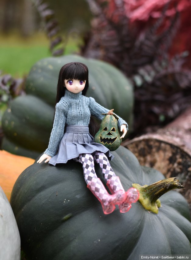 Куклы Azone (Азон) и тела Pure Neemo: фото (фото 8)