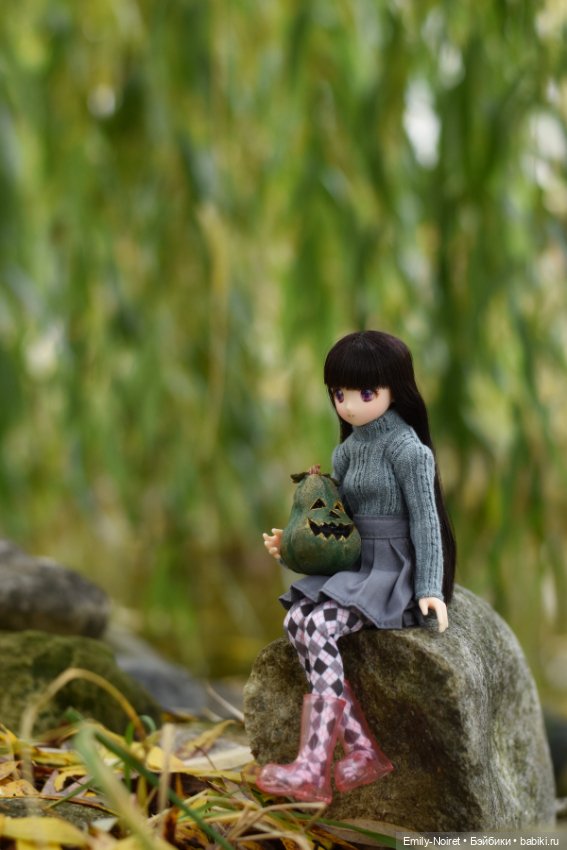 Куклы Azone (Азон) и тела Pure Neemo: фото (фото 9)