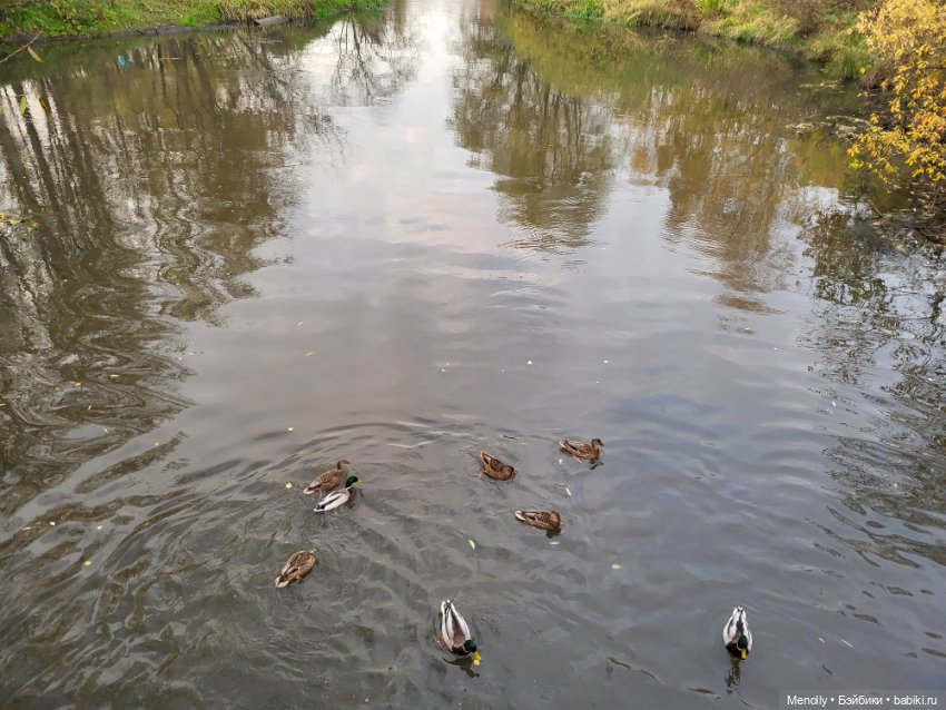 Увядание листьев — Фигурки Pop Mart (Поп Март): Blind Box (фото 7)