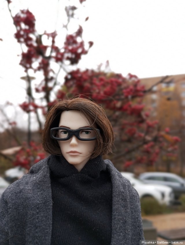 Осенний дождь — Куклы Momoko и Ruruko (Petworks (фото 3)