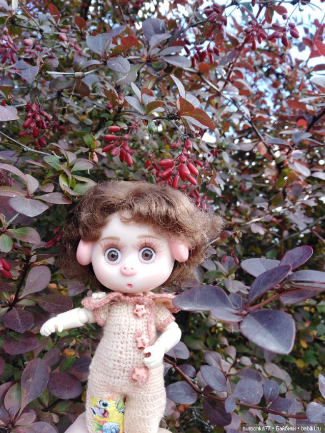 Про Нафочку. Нафочка в осеннем лесу (фото 6)