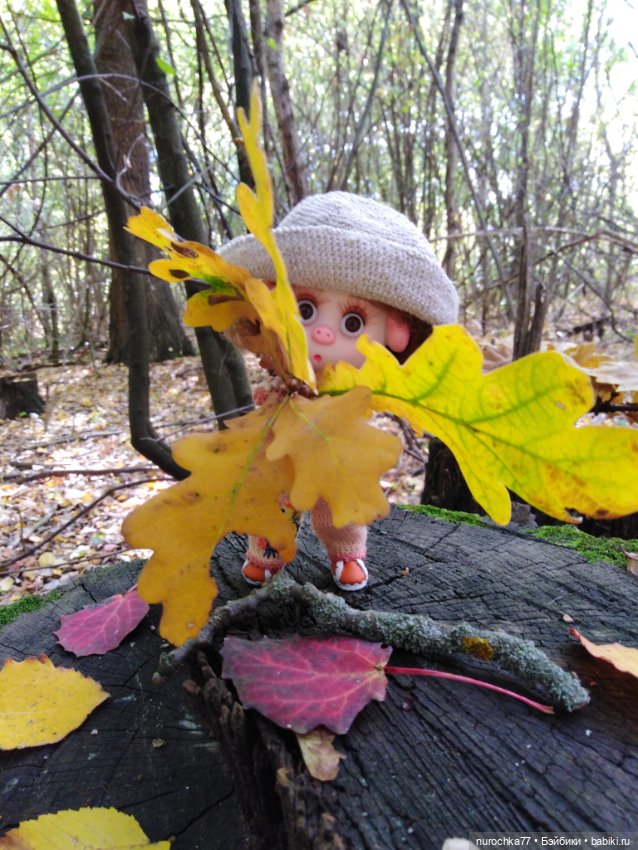 Про Нафочку. Нафочка в осеннем лесу