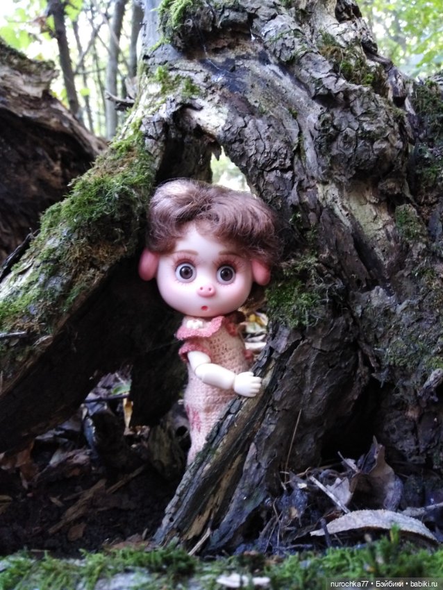 Про Нафочку. Нафочка в осеннем лесу