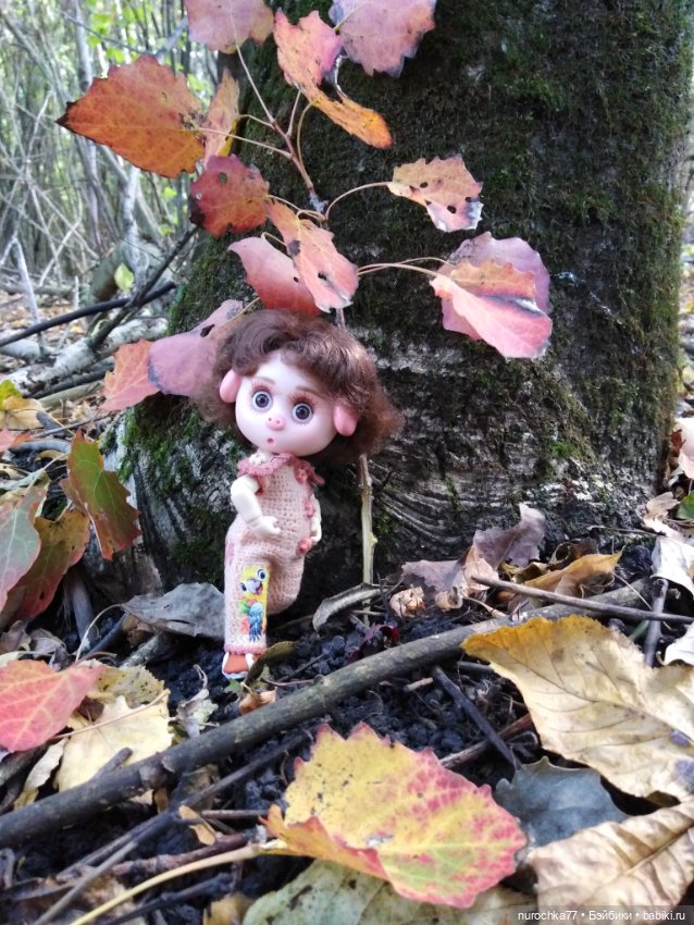 Про Нафочку. Нафочка в осеннем лесу (фото 8)