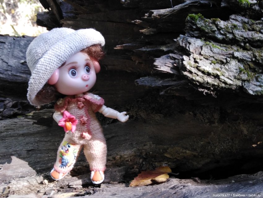 Про Нафочку. Нафочка в осеннем лесу