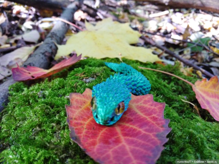 Про Нафочку. Змейка, зайчики, морковь