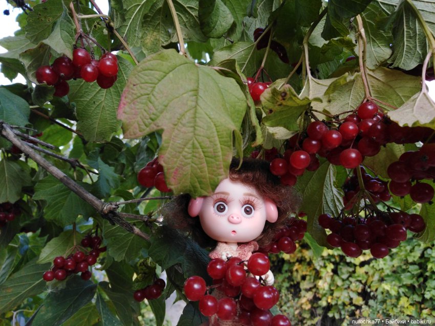 Про Нафочку. Змейка, зайчики, морковь