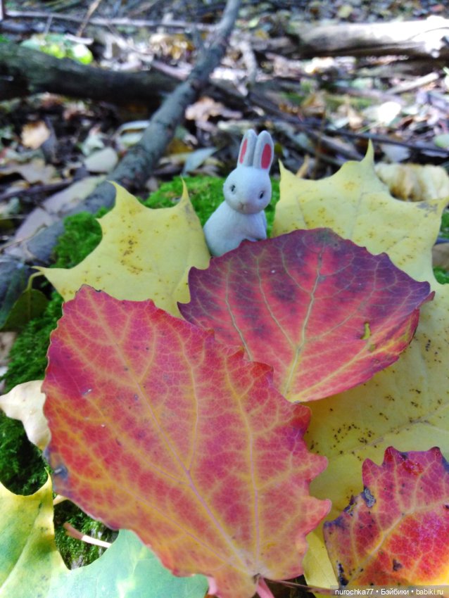 Про Нафочку. Змейка, зайчики, морковь