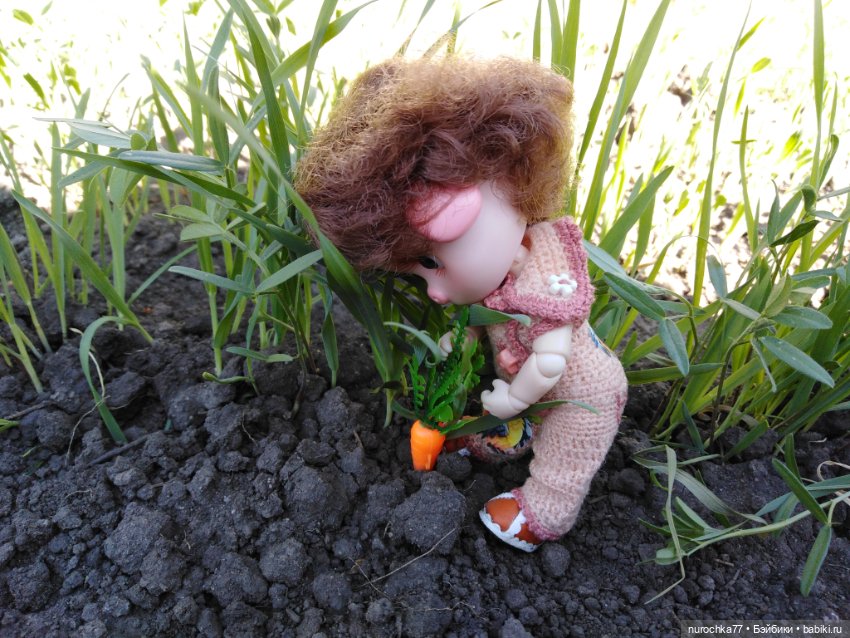 Про Нафочку. Змейка, зайчики, морковь (фото 6)