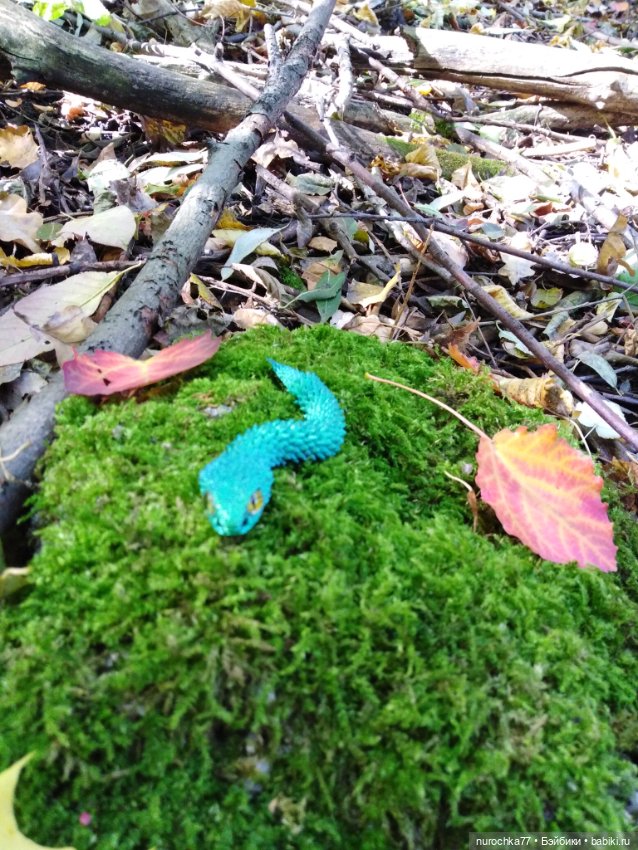 Про Нафочку. Змейка, зайчики, морковь