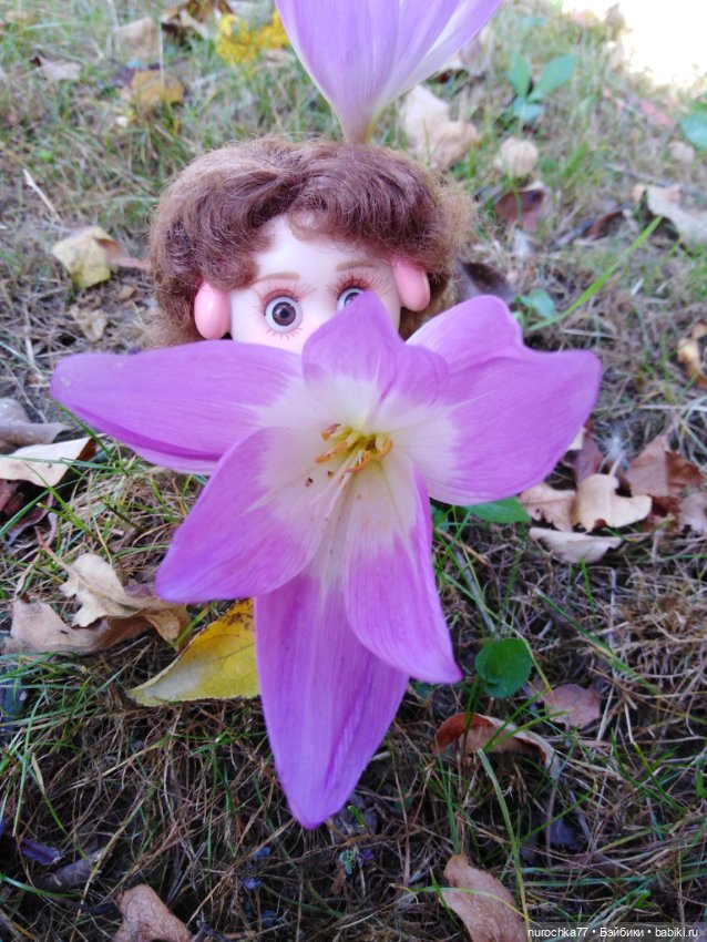 Про Нафочку. Змейка, зайчики, морковь