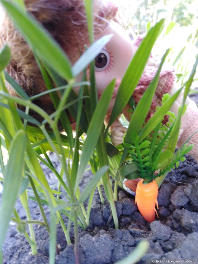 Про Нафочку. Змейка, зайчики, морковь (фото 5)