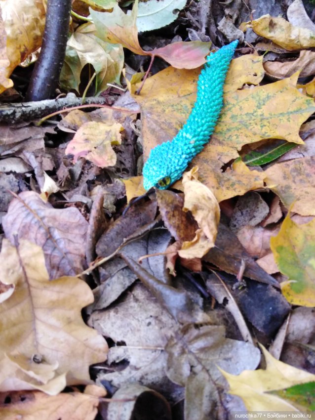 Про Нафочку. Змейка, зайчики, морковь