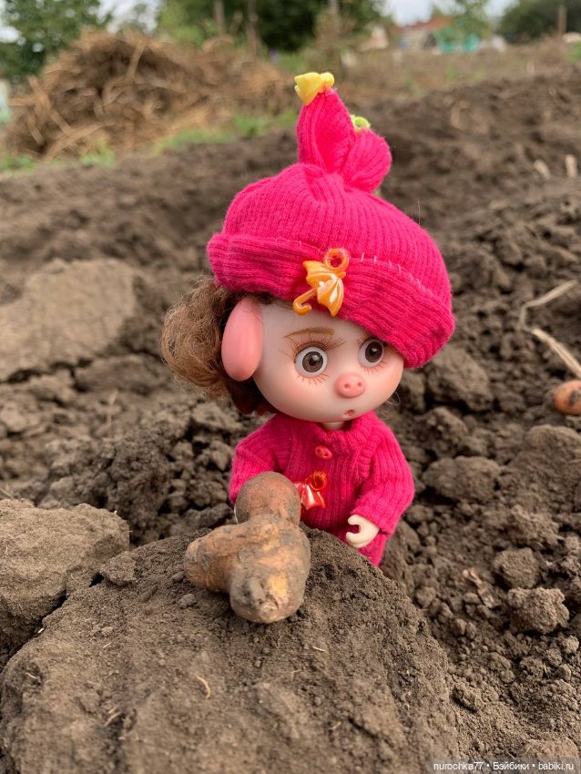 Про Нафочку. Сердце огорода (фото 9)