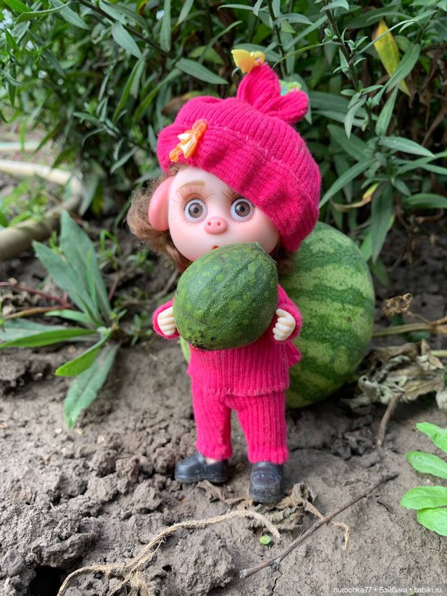 Про Нафочку. Сердце огорода (фото 5)