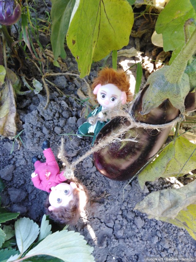 Про Нафочку. Дела огородные