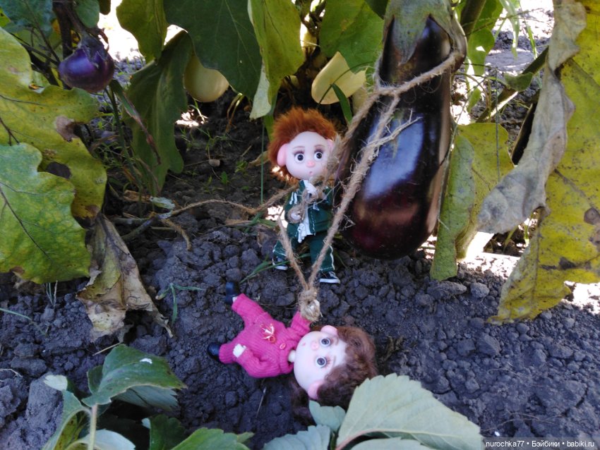 Про Нафочку. Дела огородные