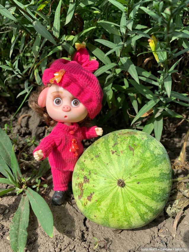 Про Нафочку. Сердце огорода (фото 4)