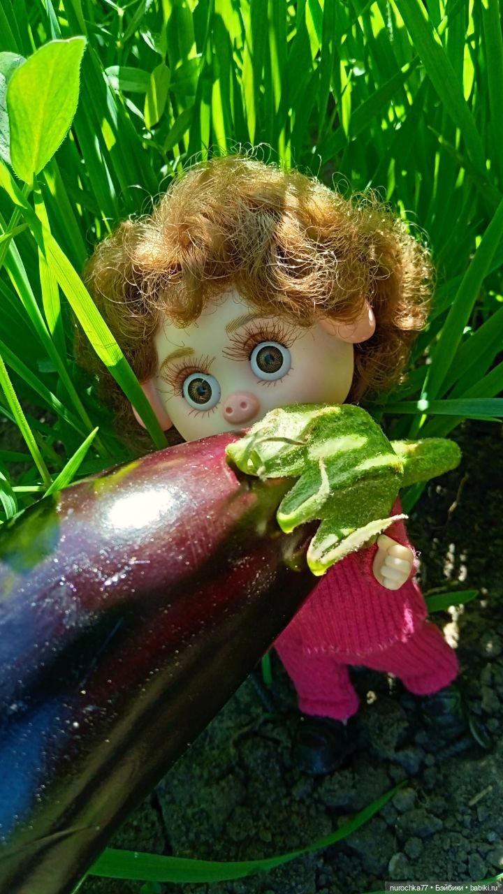 Про Нафочку. Дела огородные