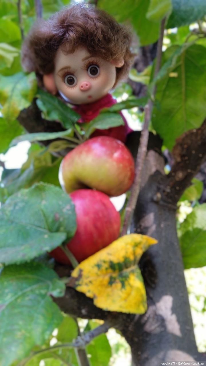 Про Нафочку. Дела огородные (фото 5)