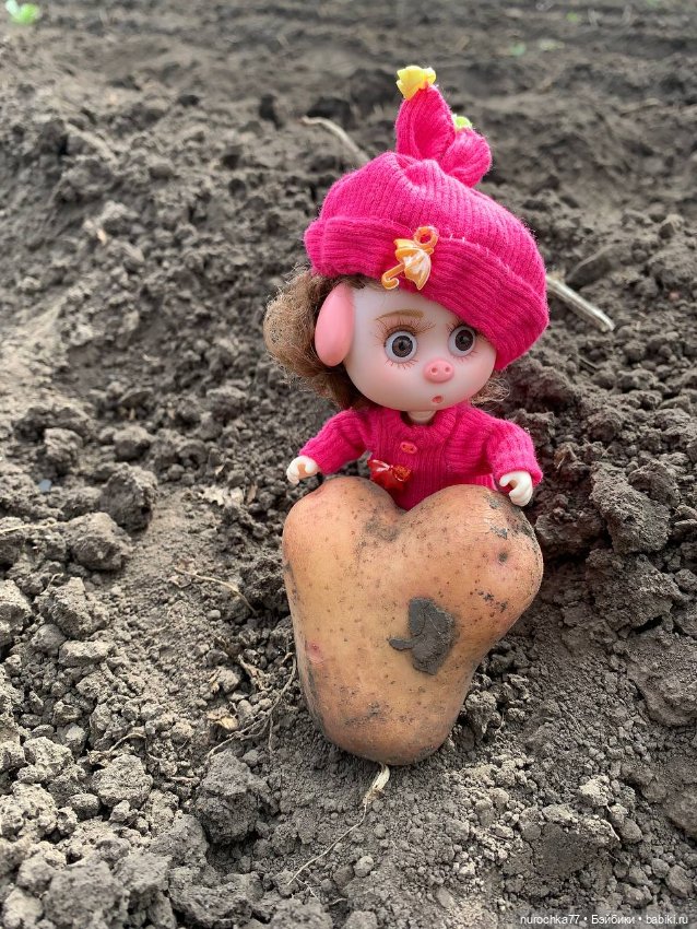 Про Нафочку. Сердце огорода (фото 10)