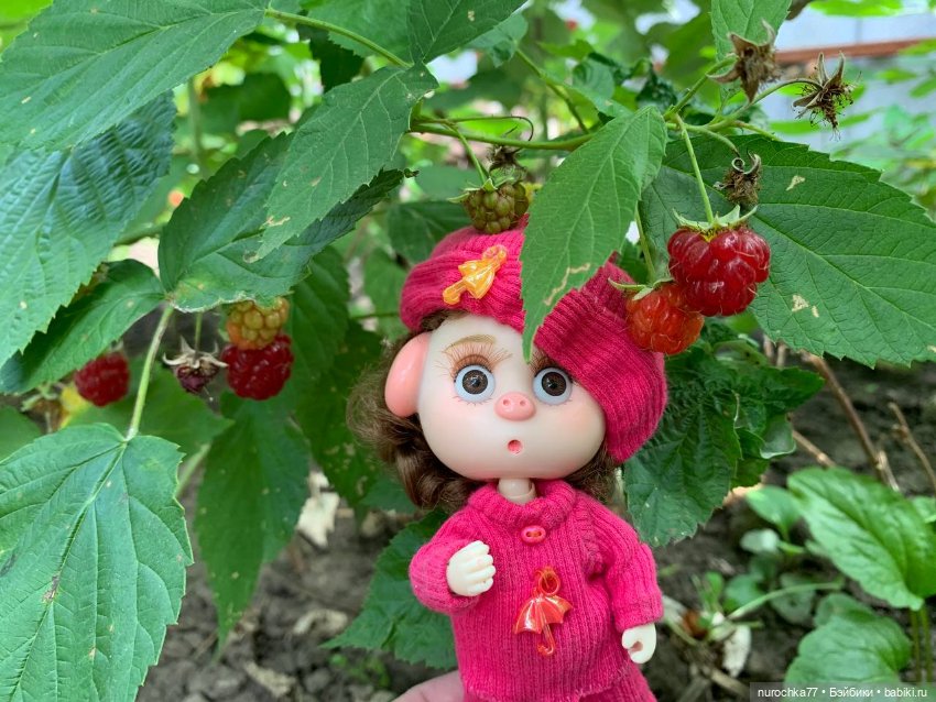 Про Нафочку. Сердце огорода