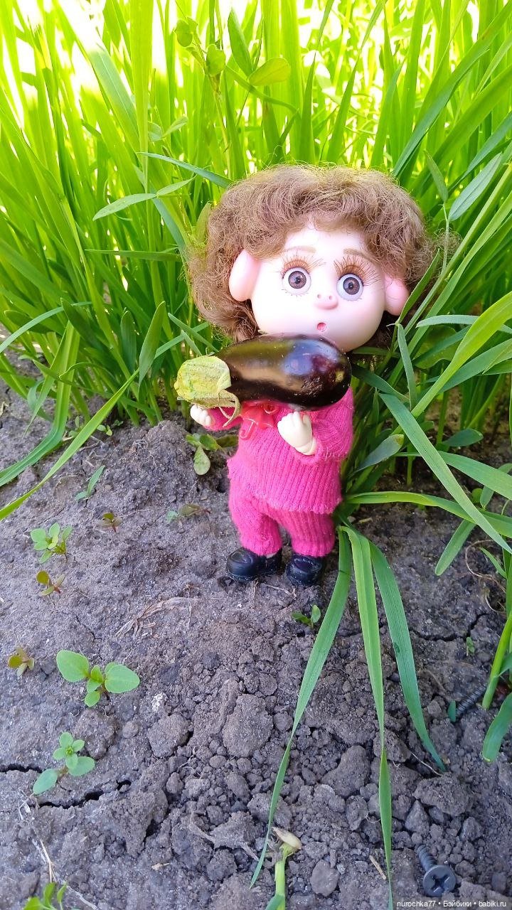 Про Нафочку. Дела огородные