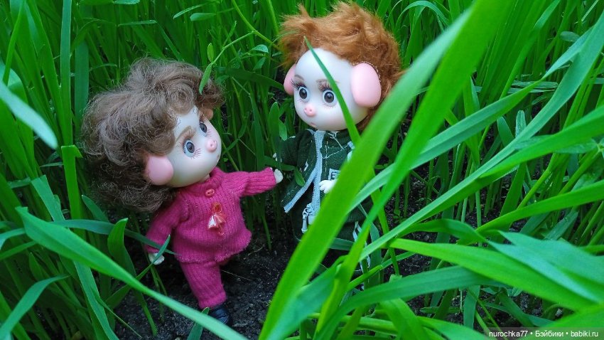 Про Нафочку. Дела огородные