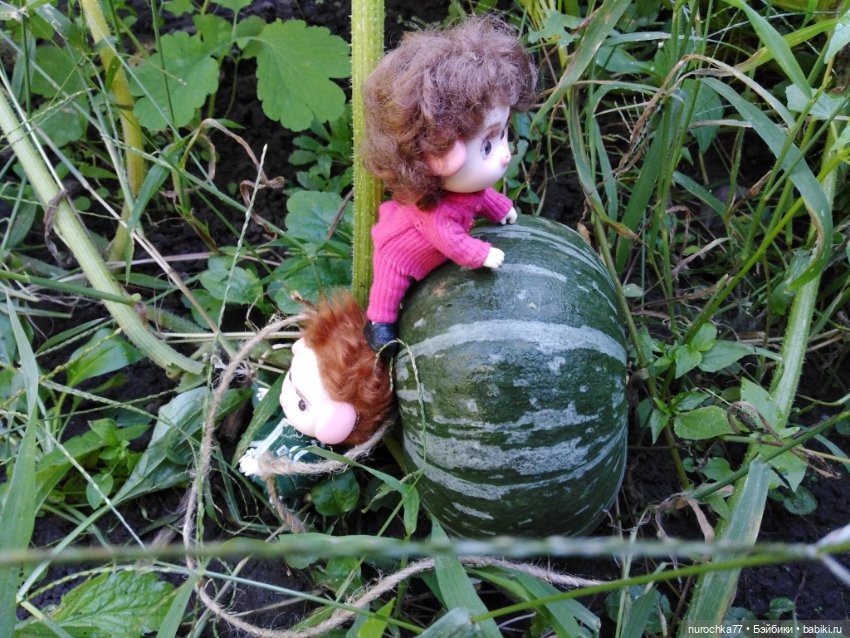 Про Нафочку. Дела огородные