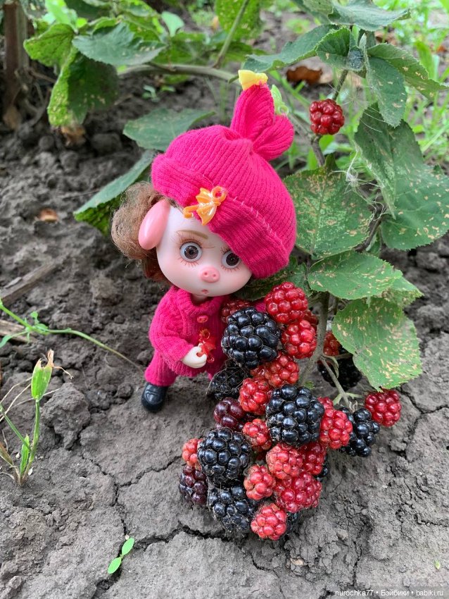 Про Нафочку. Сердце огорода