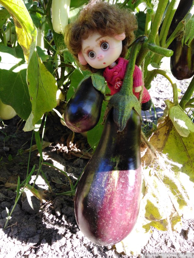 Про Нафочку. Дела огородные (фото 10)