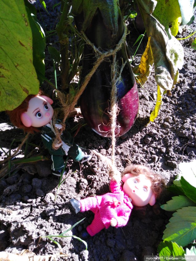 Про Нафочку. Дела огородные