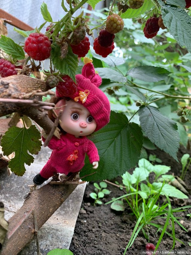 Про Нафочку. Сердце огорода