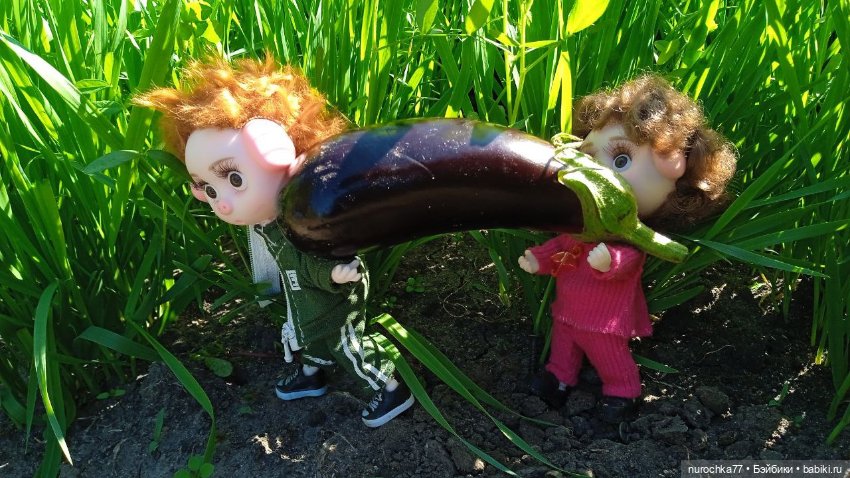 Про Нафочку. Дела огородные