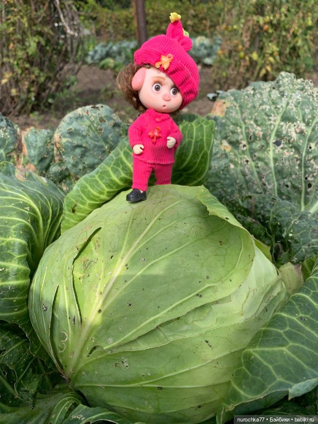 Про Нафочку. Сердце огорода (фото 2)