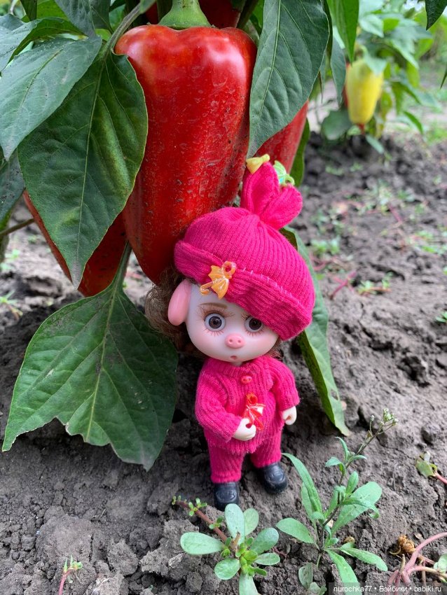 Про Нафочку. Сердце огорода (фото 6)