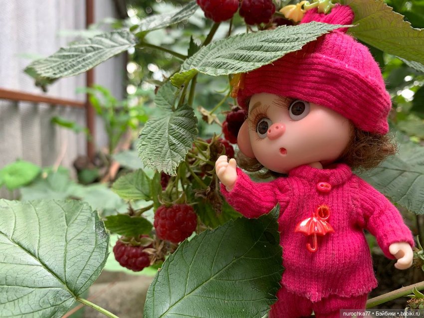 Про Нафочку. Сердце огорода