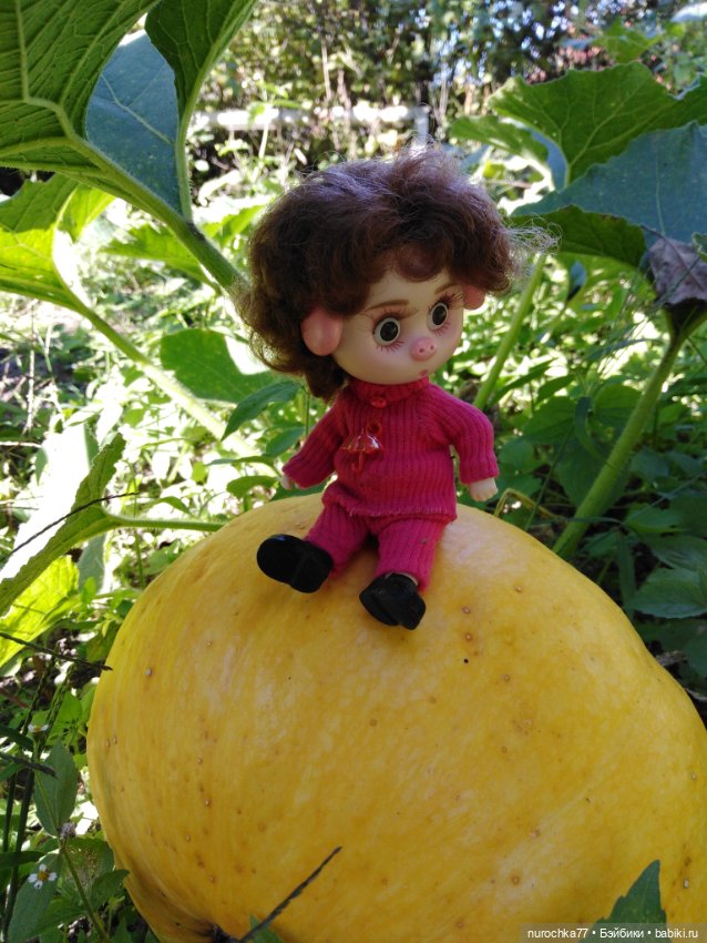 Про Нафочку. Дела огородные