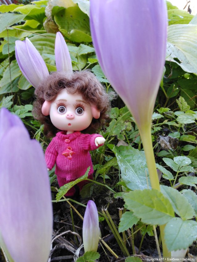 Про Нафочку. Дела огородные