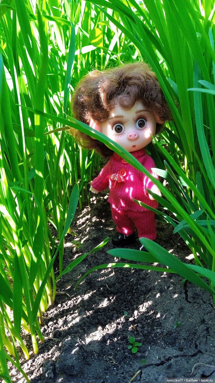 Про Нафочку. Дела огородные