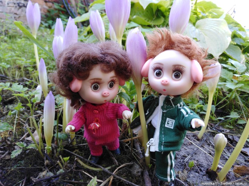 Про Нафочку. Дела огородные