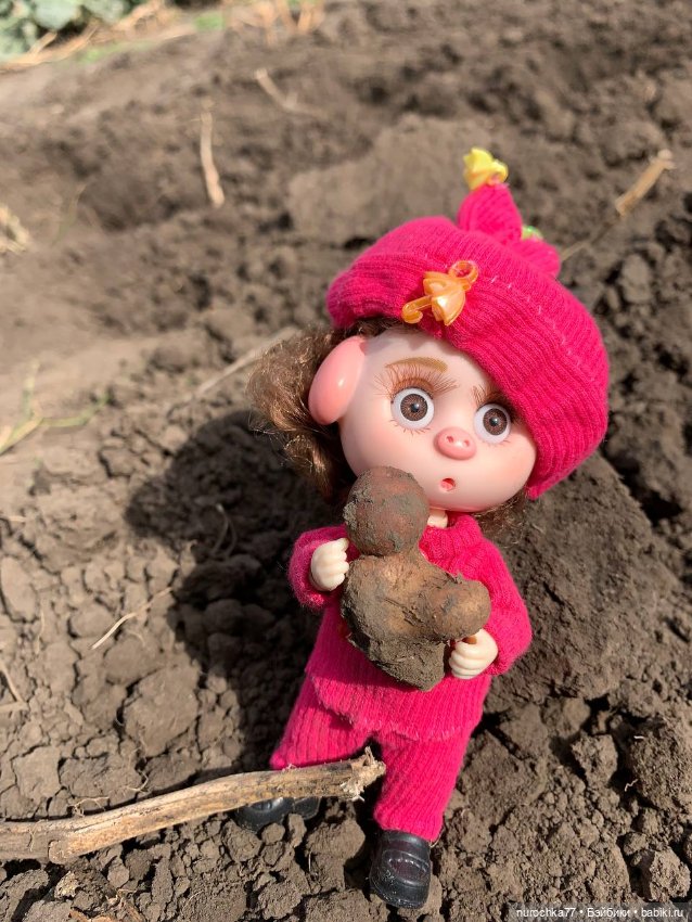 Про Нафочку. Сердце огорода (фото 7)