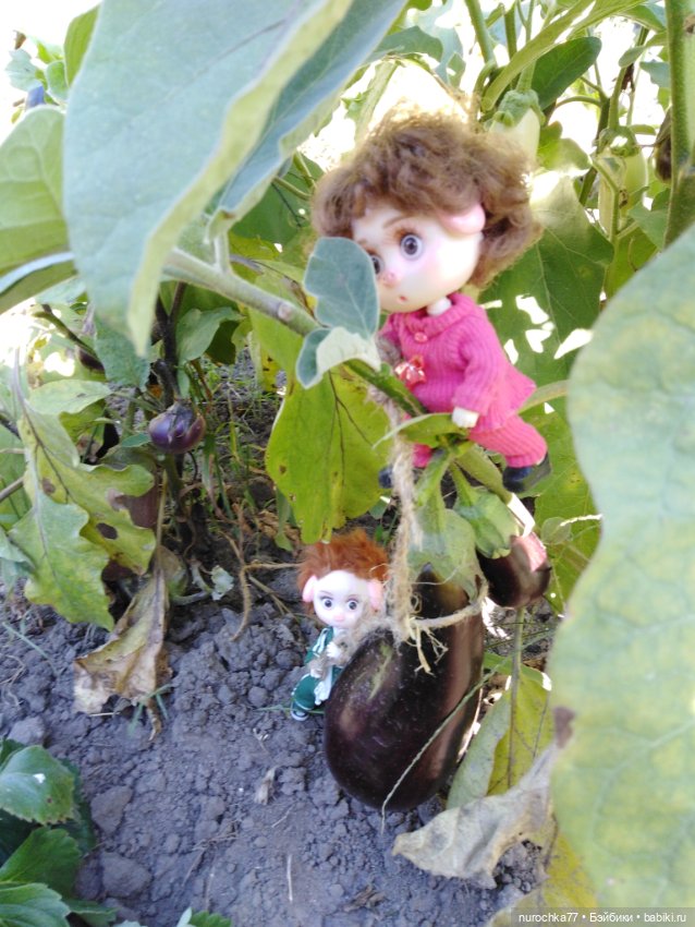 Про Нафочку. Дела огородные